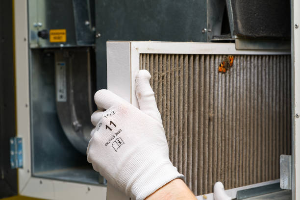 Best Air Duct Cleaning Near Me  in Spring Valley, WI