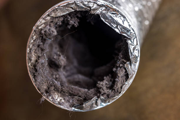 Best Air Duct Cleaning Near Me  in Spring Valley, WI